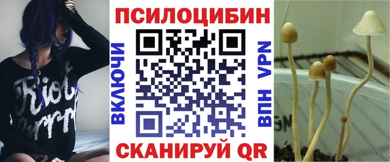 Купить где  Рославль  Псилоцибиновые грибы мицелий 