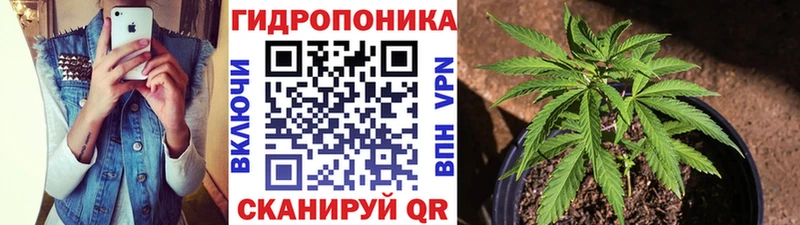 Купить  Рославль  Конопля планчик 